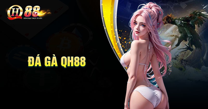 Đá gà QH88 - Hòa nhập không khí sôi động cùng các chiến kê Đá gà QH88 là gì?