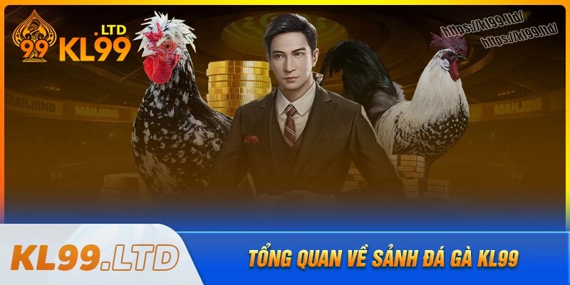 Tổng quan về sảnh đá gà kl99