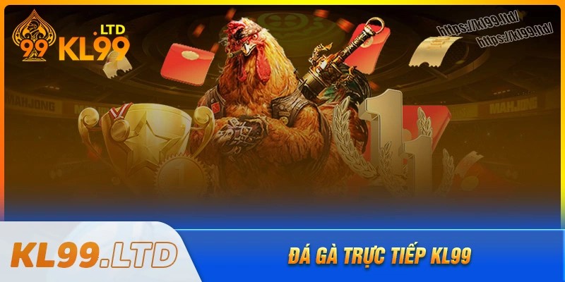 Bí quyết cá cược đá gà kl99 thắng lớn từ kê thủ