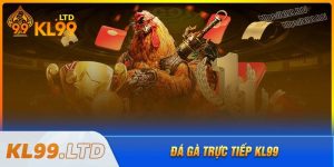 Những hình thức chọi đá gà kl99