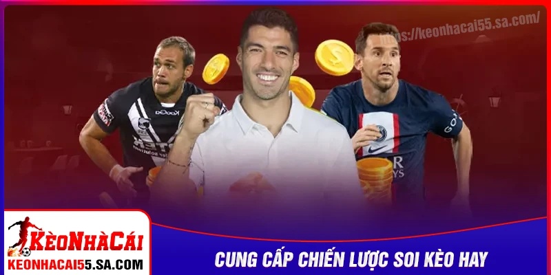 Cung cấp các chiến lược, soi kèo hiệu quả